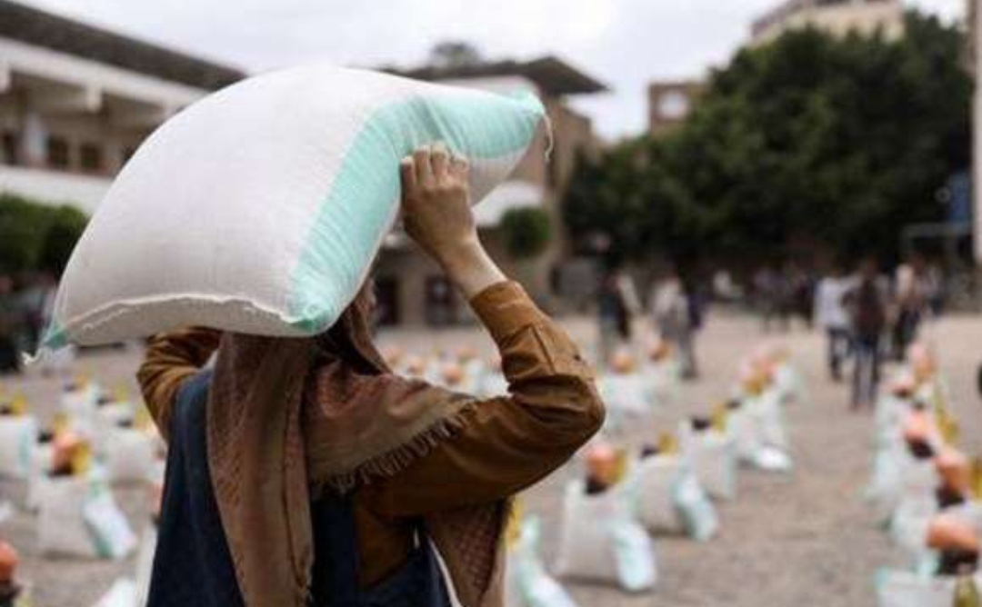 الكشف عن ما تحتاجه اليمن لتخفيف صدمة إمدادات القمح
