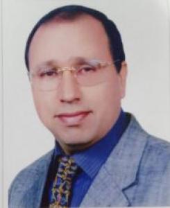 د.محمد السعيدي